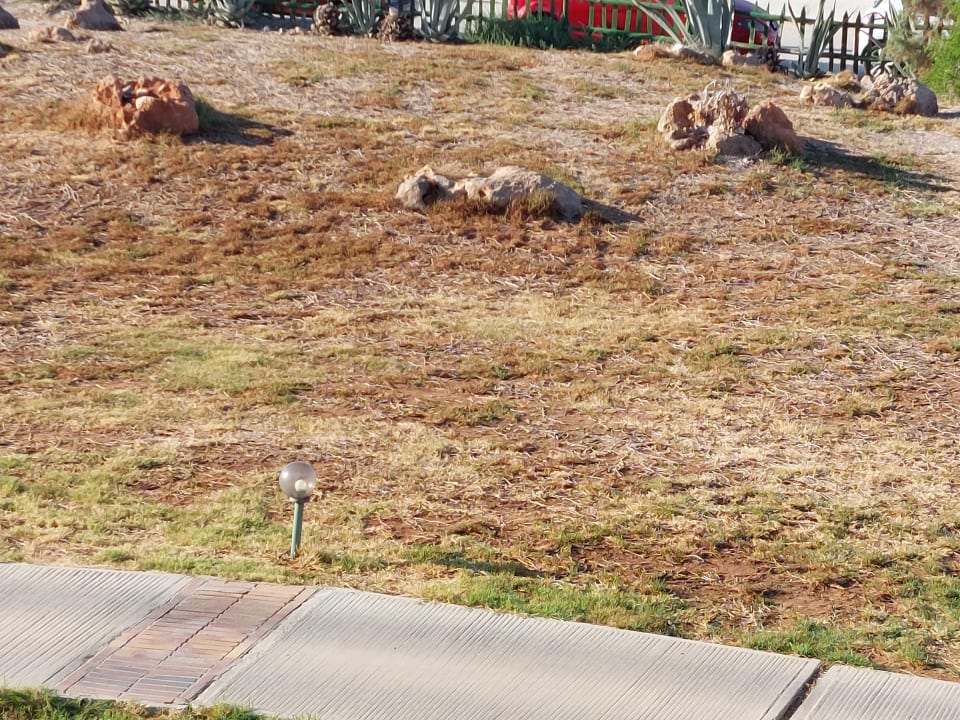 Gartenanlage Bella Beach Hotel