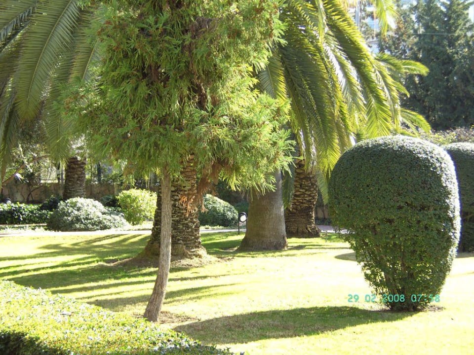 Die Aussenanlage des Hotels Side Star Elegance