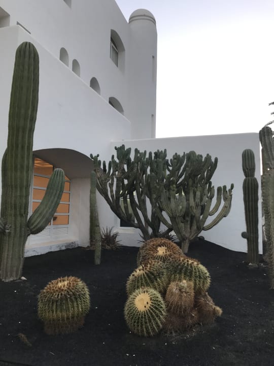 Gartenanlage Club Jandia Princess