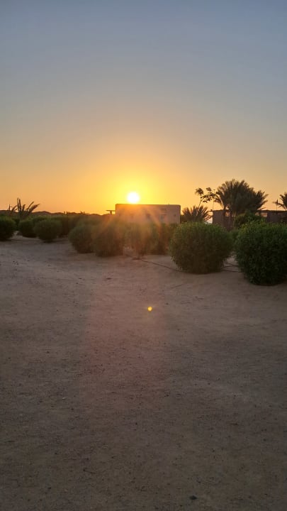 Ausblick Club Paradisio El Gouna, Red Sea