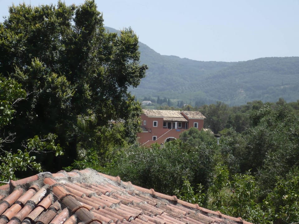 View from the room Hotel Fire Fly