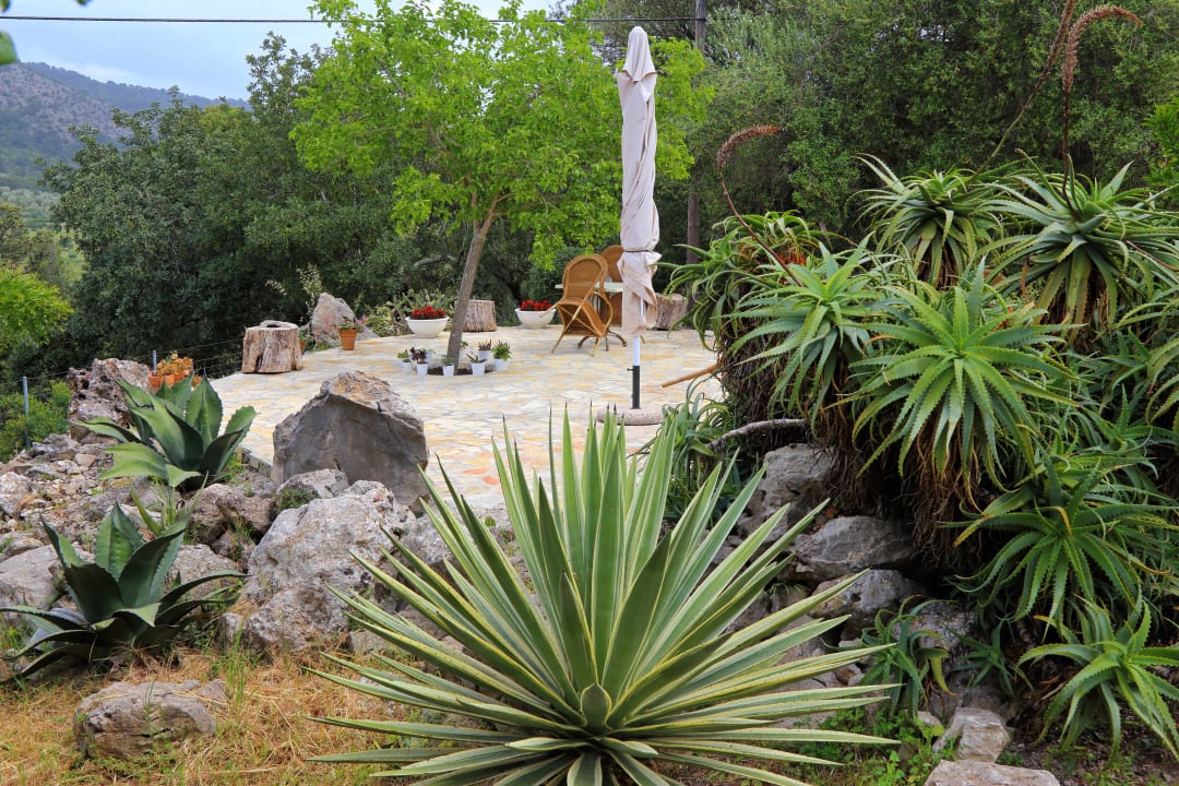 Garten Finca Can Guillo