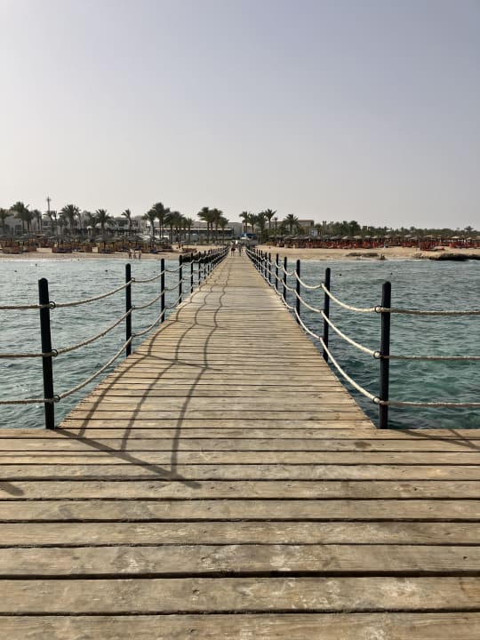 Strand Pickalbatros Palace Hotel-Port Ghalib