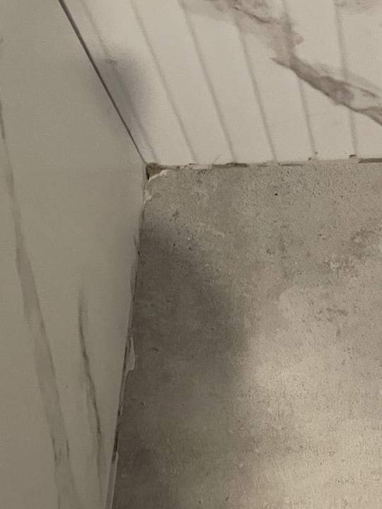 Zimmer Seashell Vega