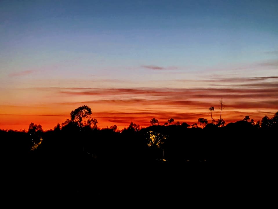 Ausblick Garden Playanatural - Adults only