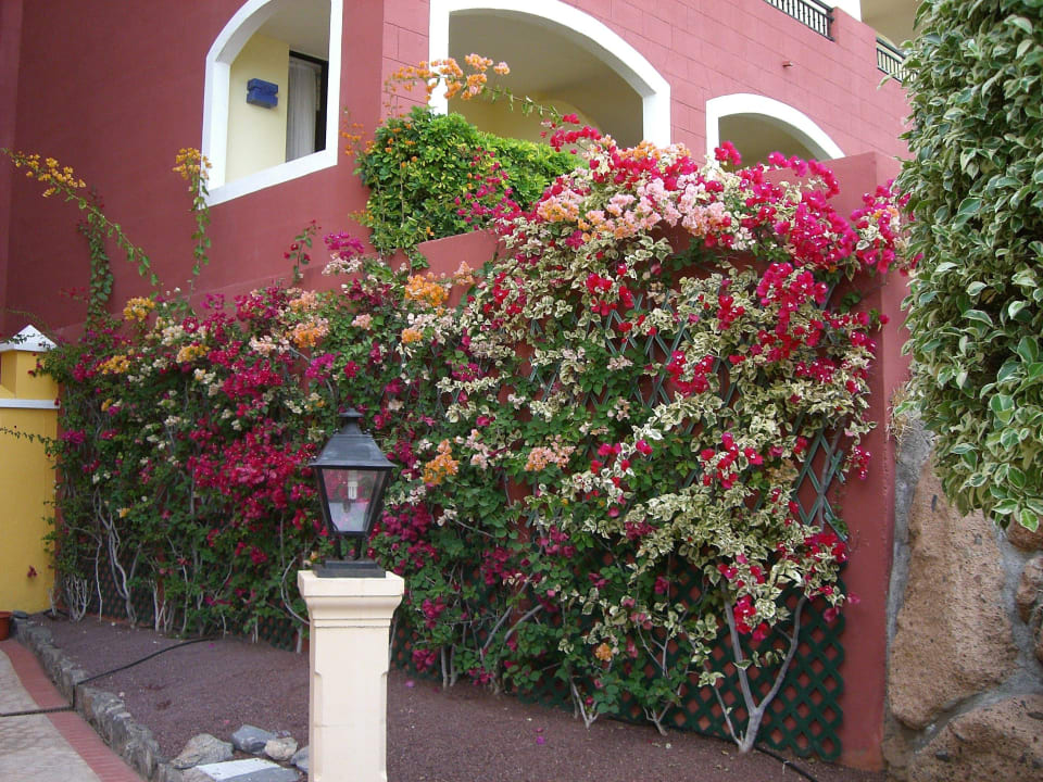 Bepflanzung im Hotel Bahia Principe Sunlight Costa Adeje