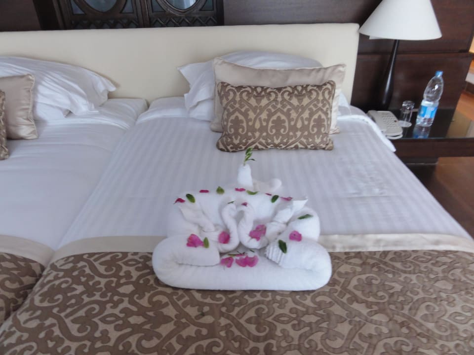 Immer wieder was neues Steigenberger Makadi Hotel - Adults only