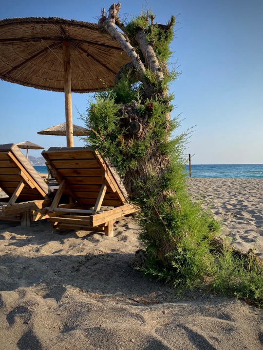 Strand Paralos Lifestyle Beach