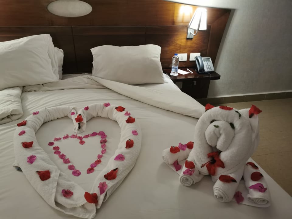 Zimmer Stella Garden Resort & Spa, Makadi Bay