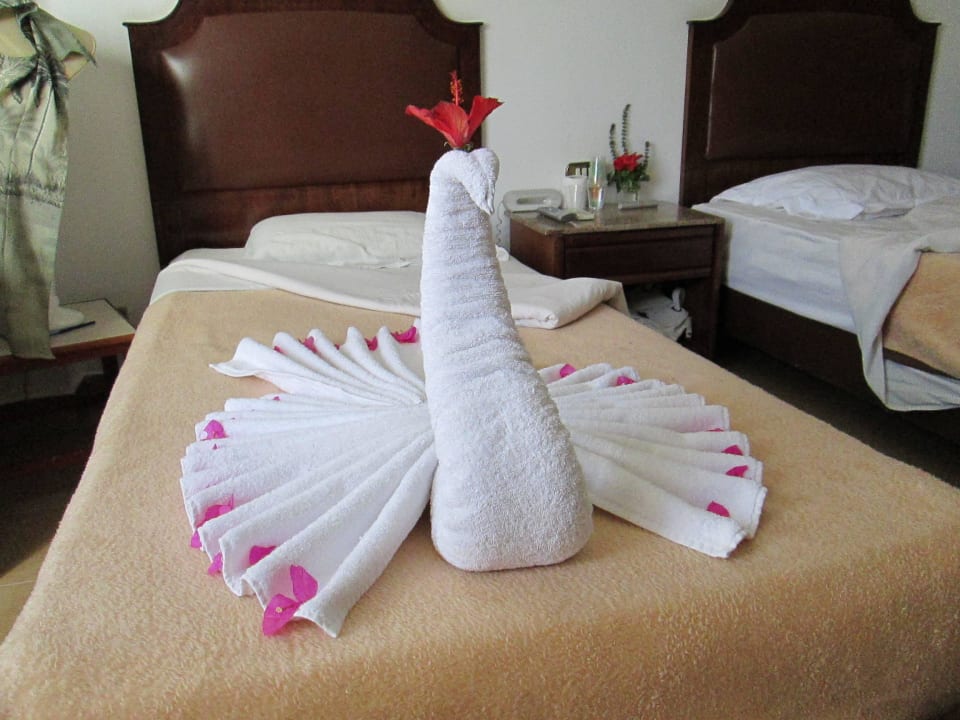 Лебедь рукотворный Marlin Inn Azur Resort