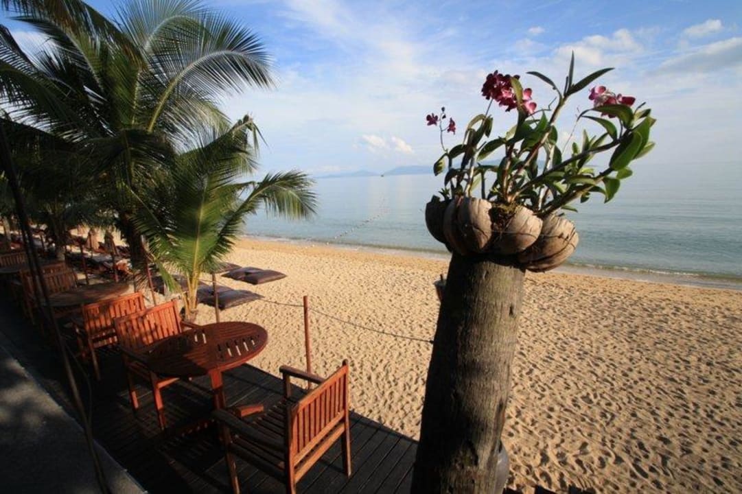 Blick vom Pool Anantara Bophut Koh Samui Resort