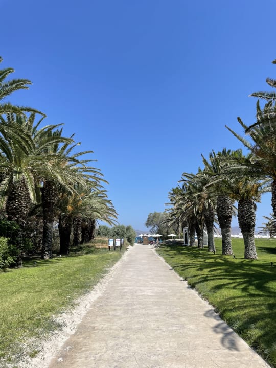 Gartenanlage Caravia Beach Hotel