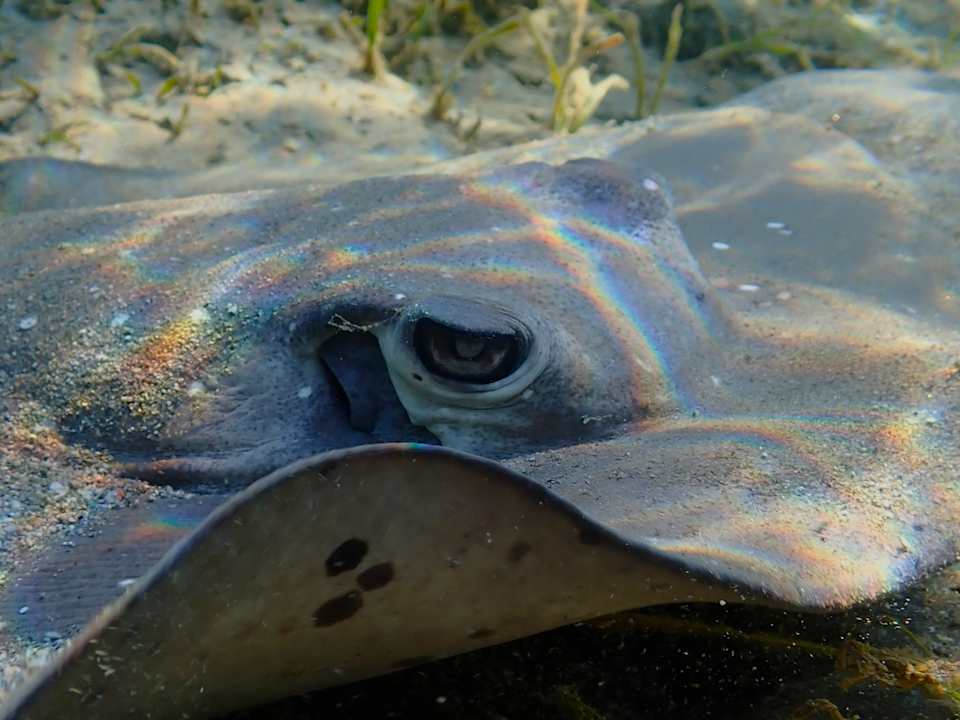 Sport & Freizeit Shams Alam Beach Resort