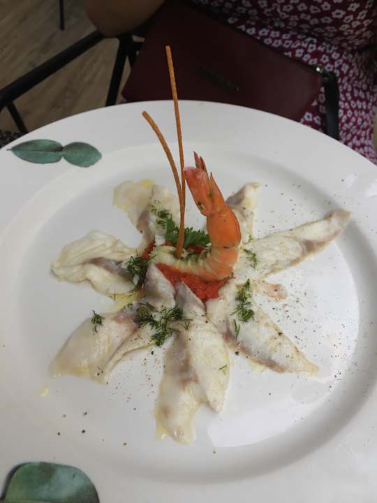 Gastro Acanthus Cennet Barut Collection