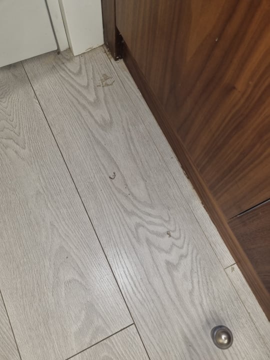 Sonstiges Victory Volare Hotel