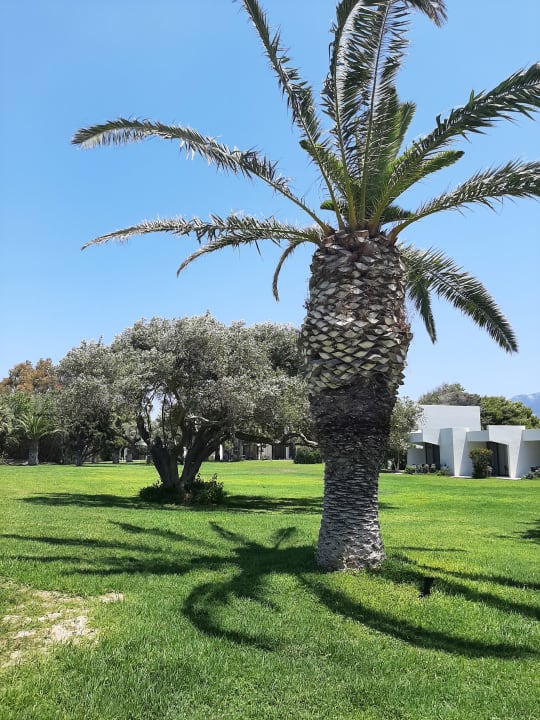 Gartenanlage Caravia Beach Hotel