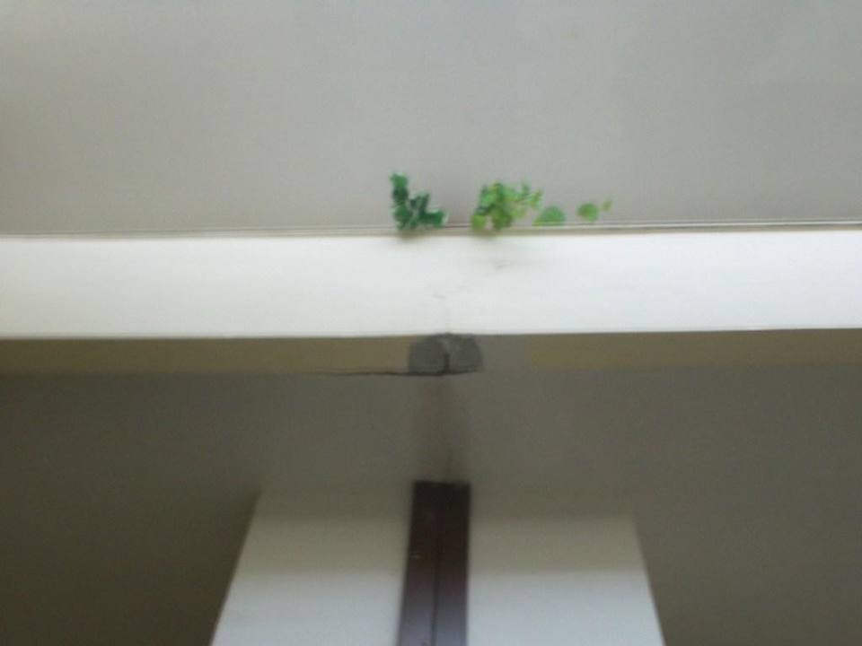 Deckenbereich Empfangshalle Armas Gül Beach