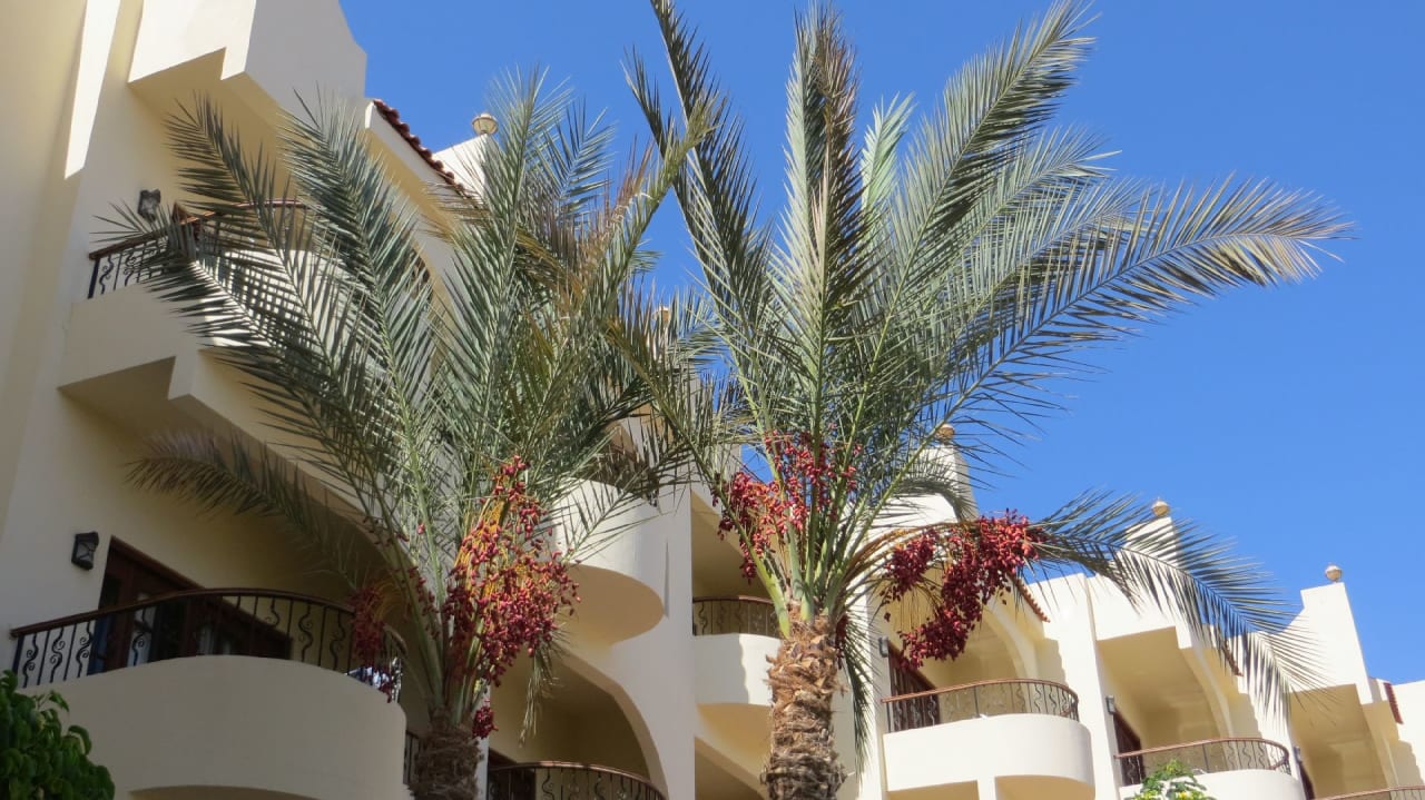 Sonstiges Coral Hills Resorts & SPA