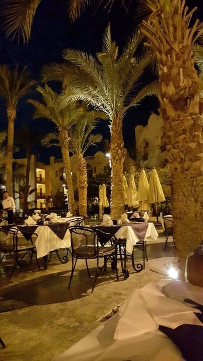 Restaurant Terrasse Pickalbatros Palace Hotel-Port Ghalib