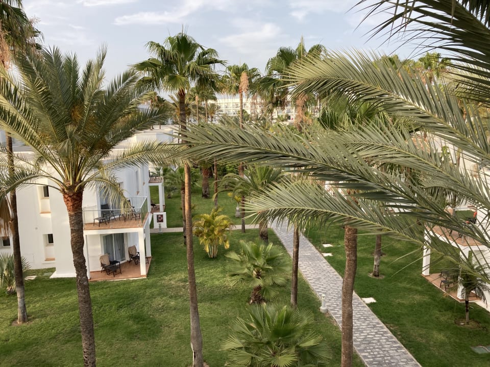 Ausblick Hotel Riu Palace Meloneras