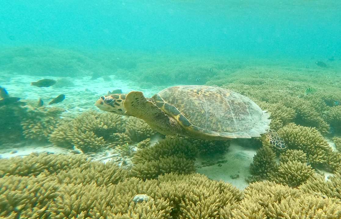 Strand Shandrani Beachcomber Resort & Spa