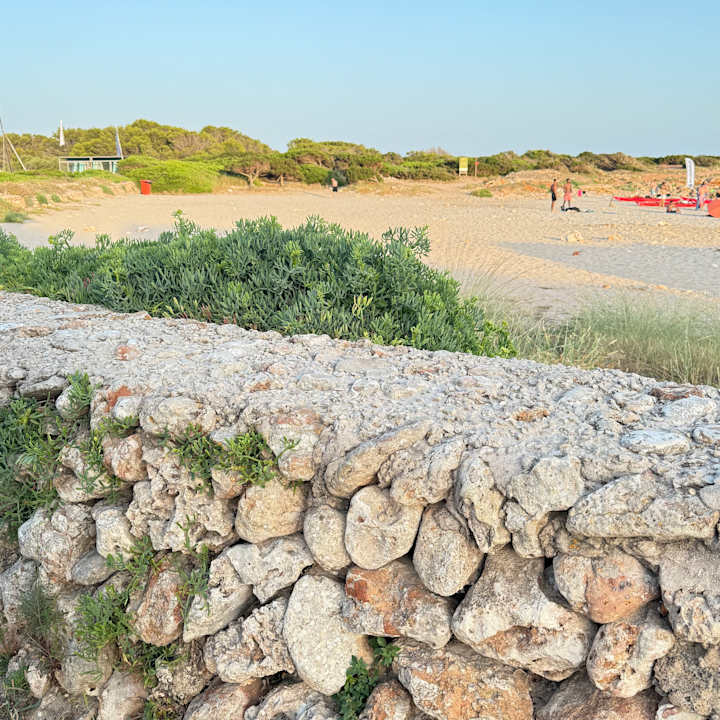 Strand Sagitario Princesa Playa