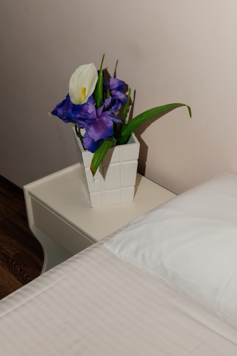 Zimmer Michelangelo Resort