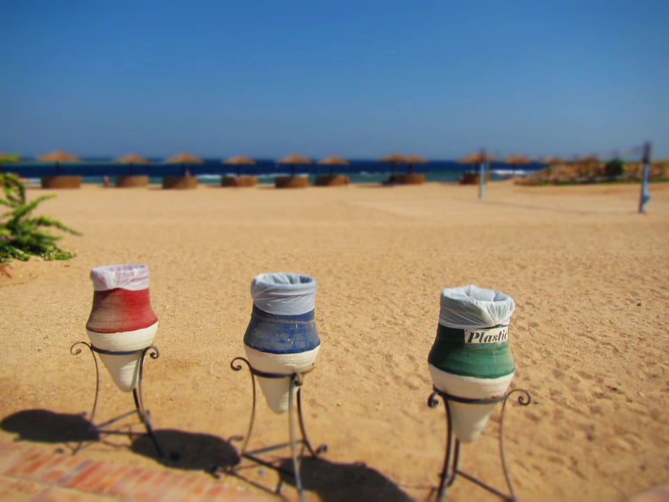 Extra für uns Europäer -  Coral Sun Beach