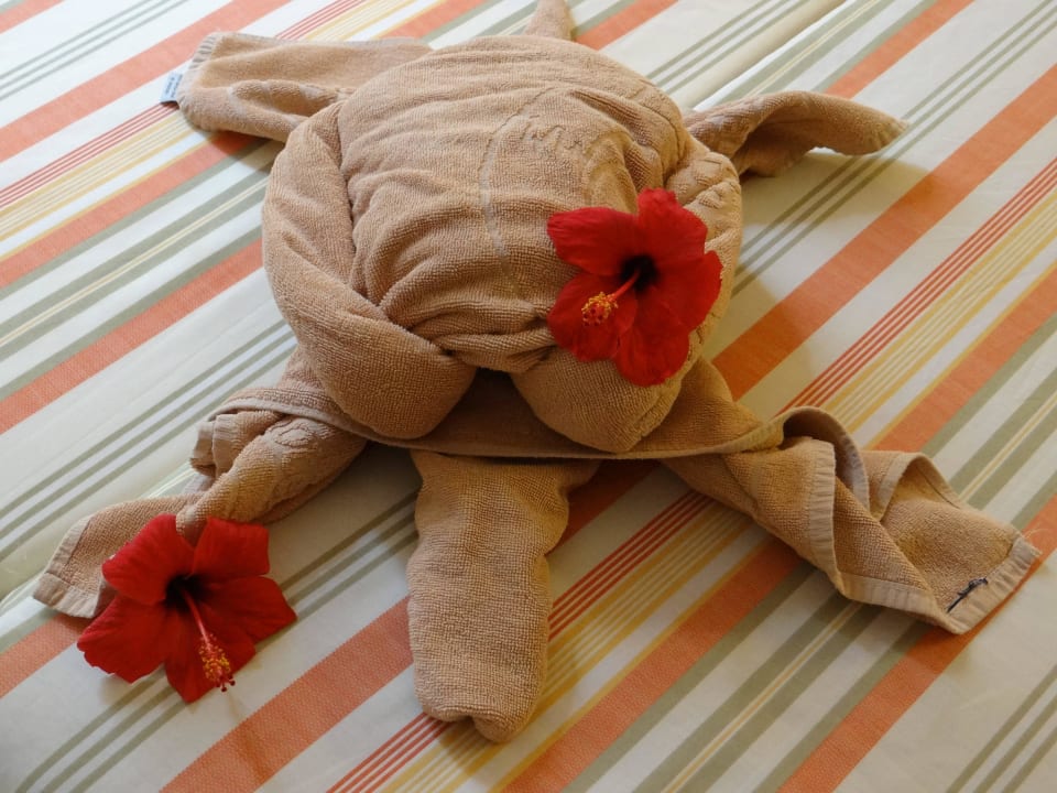 Kreatieve Arbeit von der Reinigungskraft SBH Hotel Taro Beach