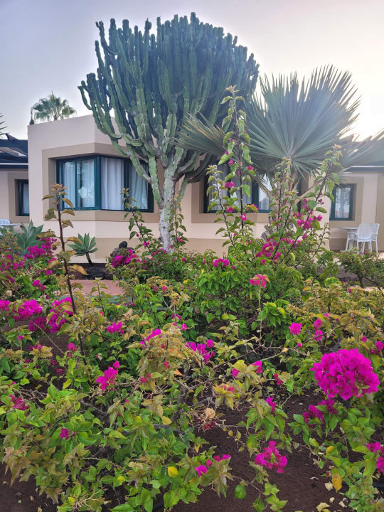 Gartenanlage allsun Hotel Esplendido