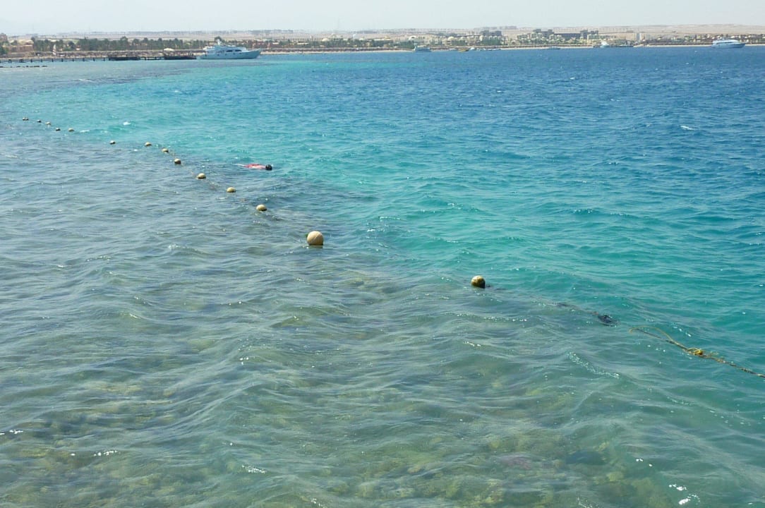 Schnorchelrevier Stella Beach Resort & Spa Makadi Bay