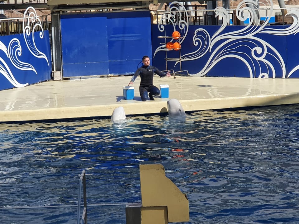 Sport & Freizeit The Land of Legends Kingdom Hotel