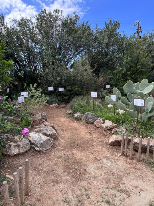 Gartenanlage Phãea Cretan Malia