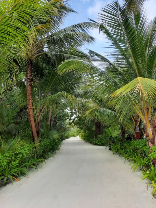 Gartenanlage Sun Siyam Olhuveli