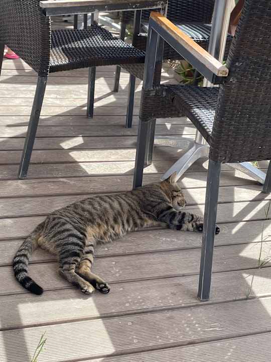 Strand TUI MAGIC LIFE Penelope Beach