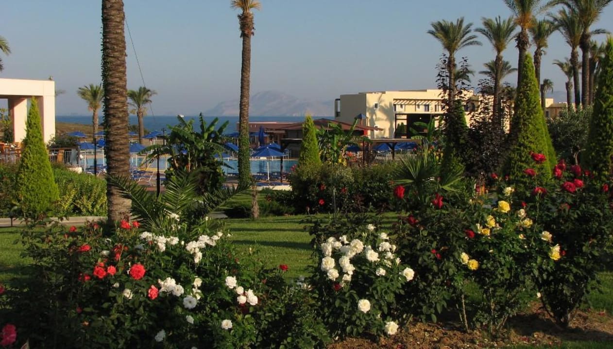 Eine schöne, gepflegte, weitläufige Hotelanlage Hotel Horizon Beach Resort