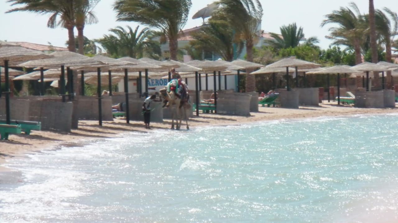 So schön, so Schön Golden Beach Resort