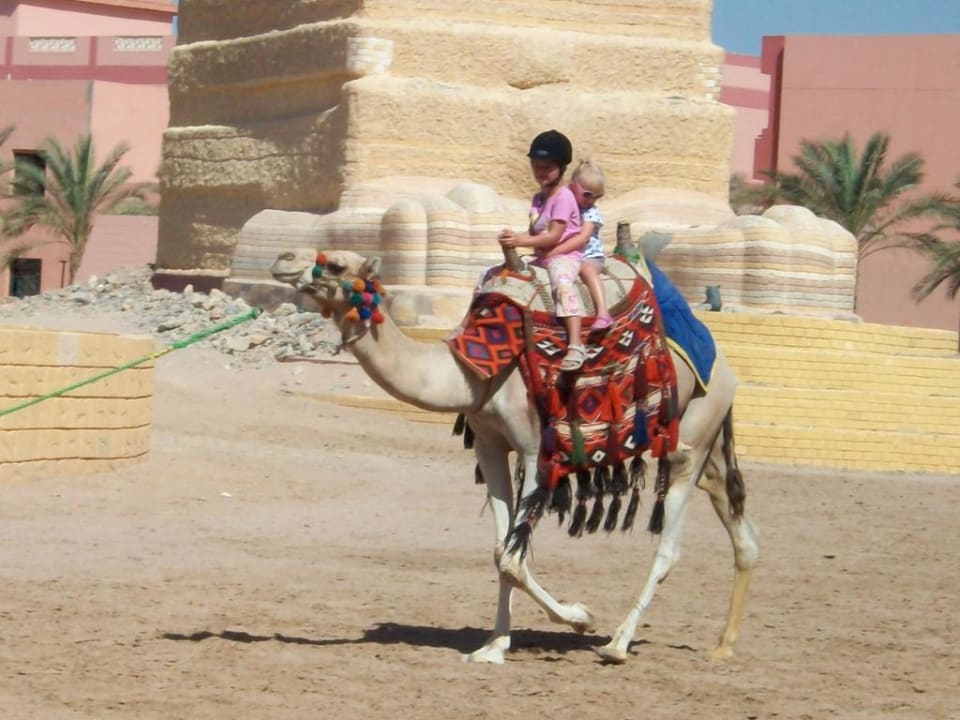Jeden Tag kostenlos Kamel und Pferd reiten Pickalbatros Alf Leila Wa Leila Resort - Neverland Hurghada