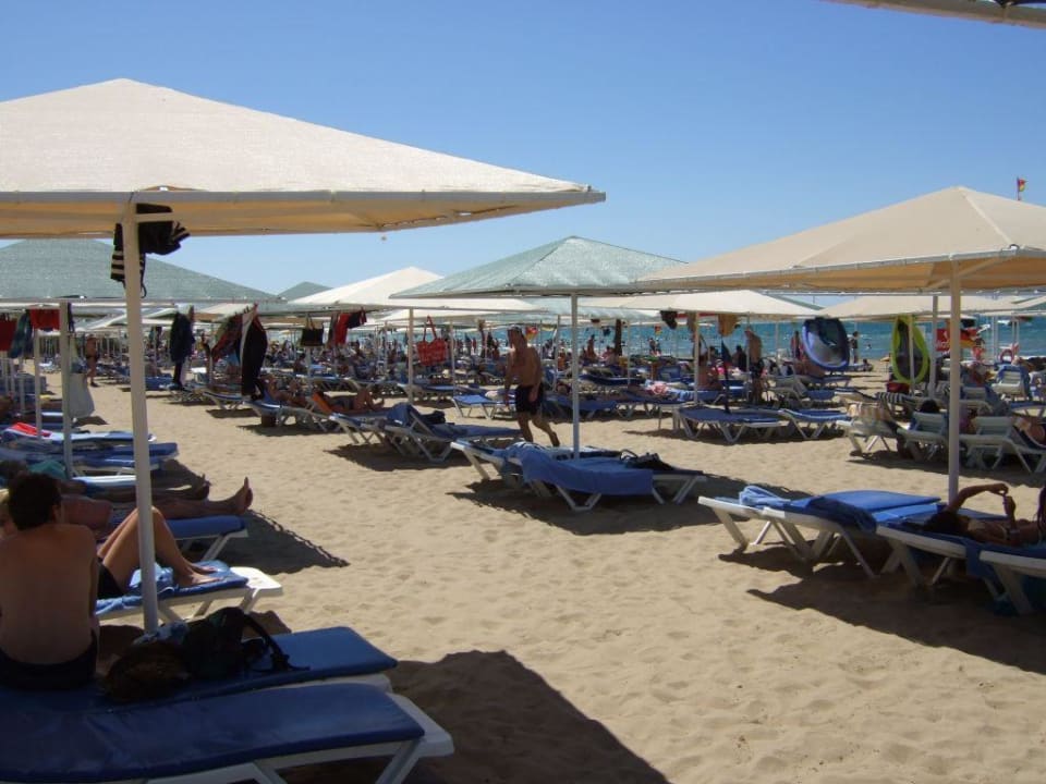 Strand mit Liegen Miramare Queen Hotel