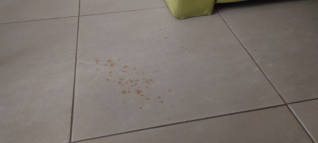 Zimmer Hotel Forest Beach