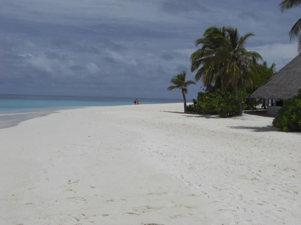 Ohne Kommentar Angaga Island Resort