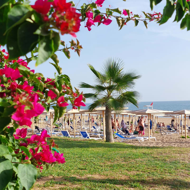Strand Süral Saray Hotel