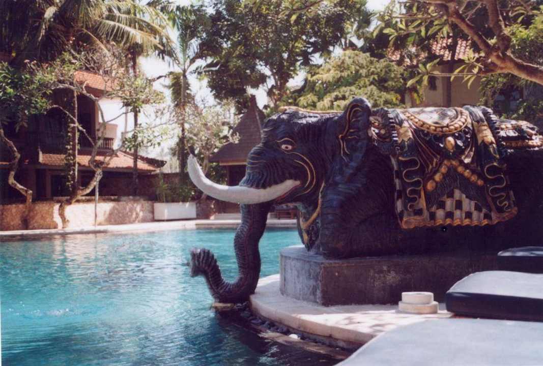 Pool Puri Santrian Puri Santrian