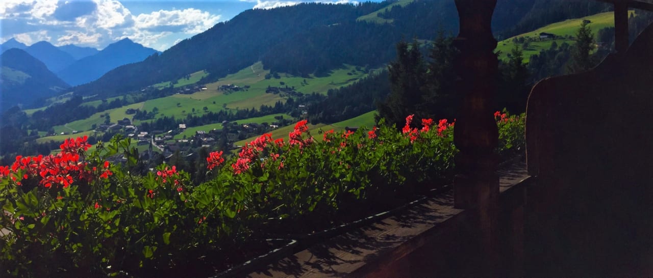 Ausblick Bergwald-Appartements -Alpbach