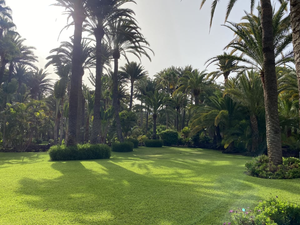 Gartenanlage Hotel Riu Palace Oasis