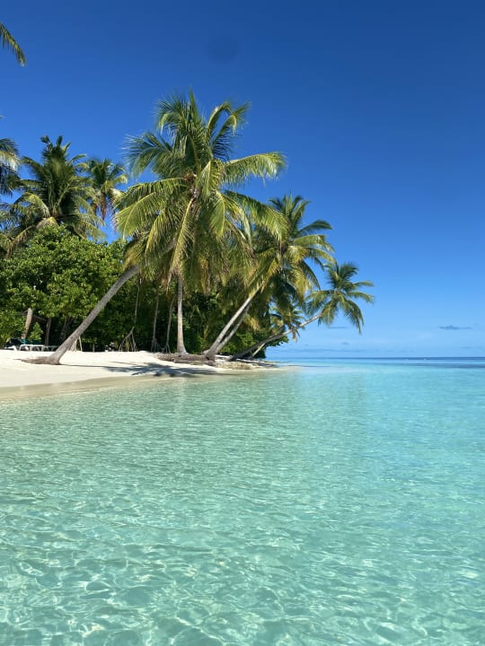 Strand Vilamendhoo Island Resort & Spa