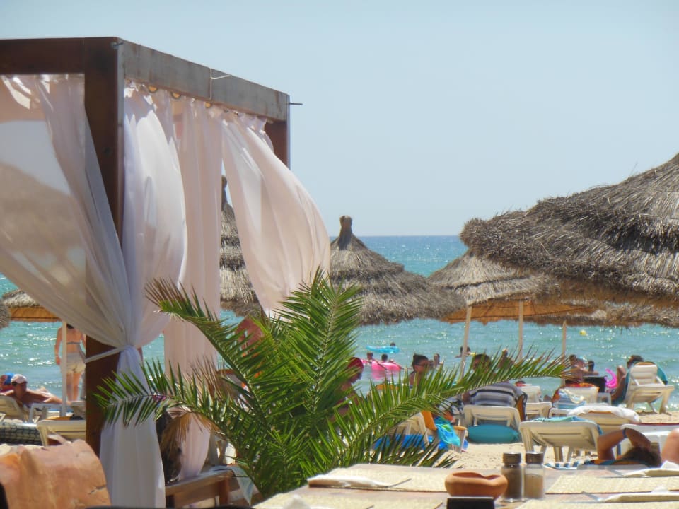 Strand Hotel Royal Nozha