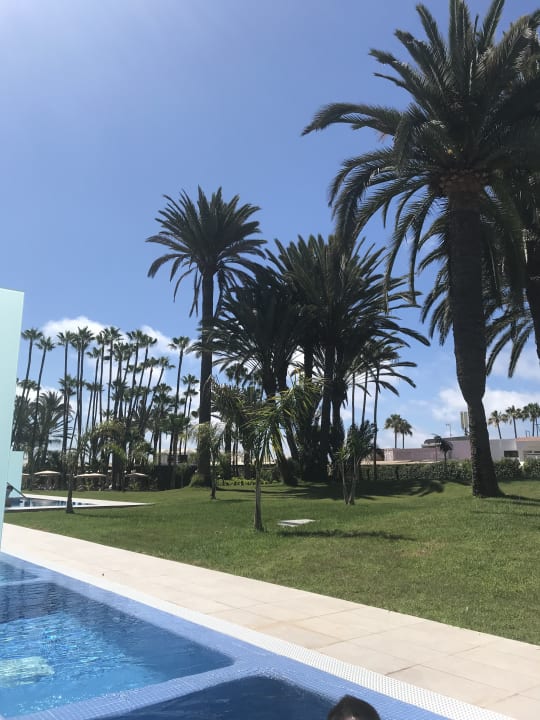 Gartenanlage Hotel Riu Palace Oasis