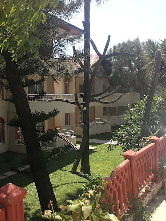 Vor den Appartments Kaktus Hotel Sirma