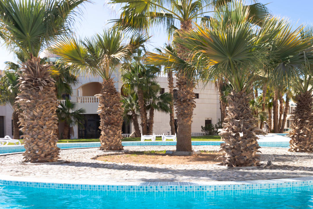 Pool White Valley Palace